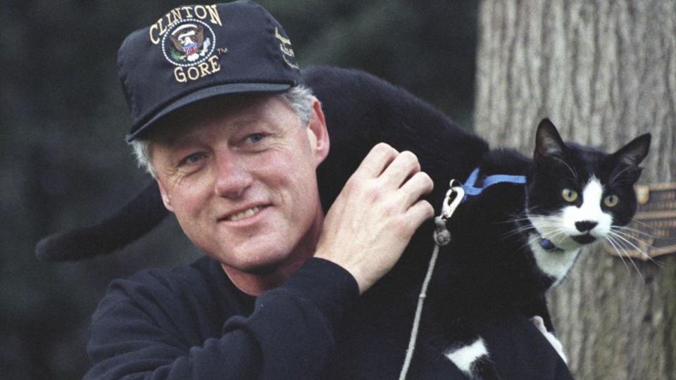 Bill Clinton's cat Socks