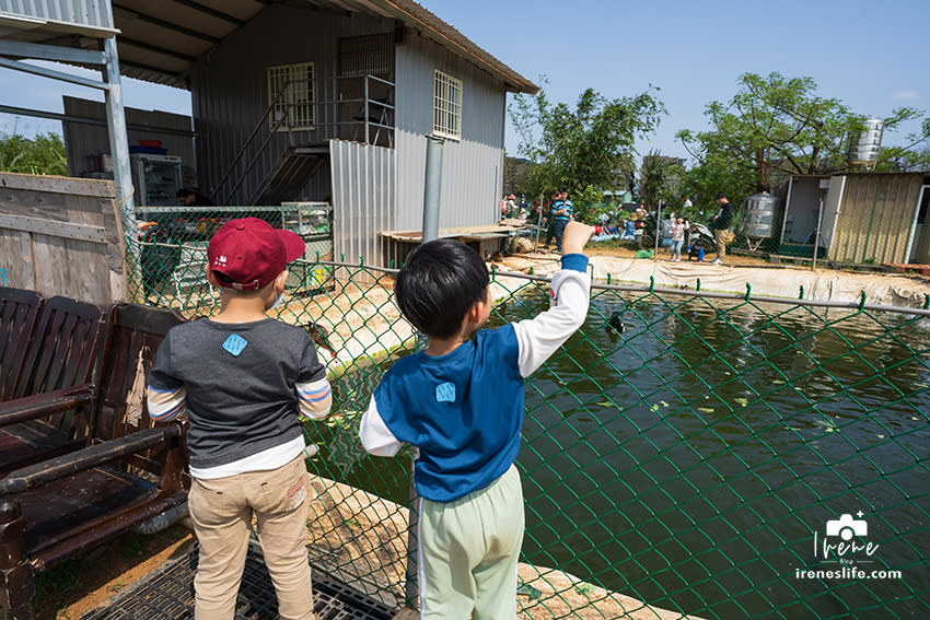 桃園｜文新小農夫親子農園