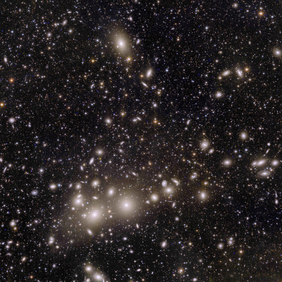 The Perseus galaxy cluster is one of the largest structures in the known universe, containing thousands of galaxies embedded in a vast cloud of hot gas. ESA's Euclid space telescope captured at least 1,000 of the cluster's member galaxies and some 100,000 more in the distant background. / Credit: ESA