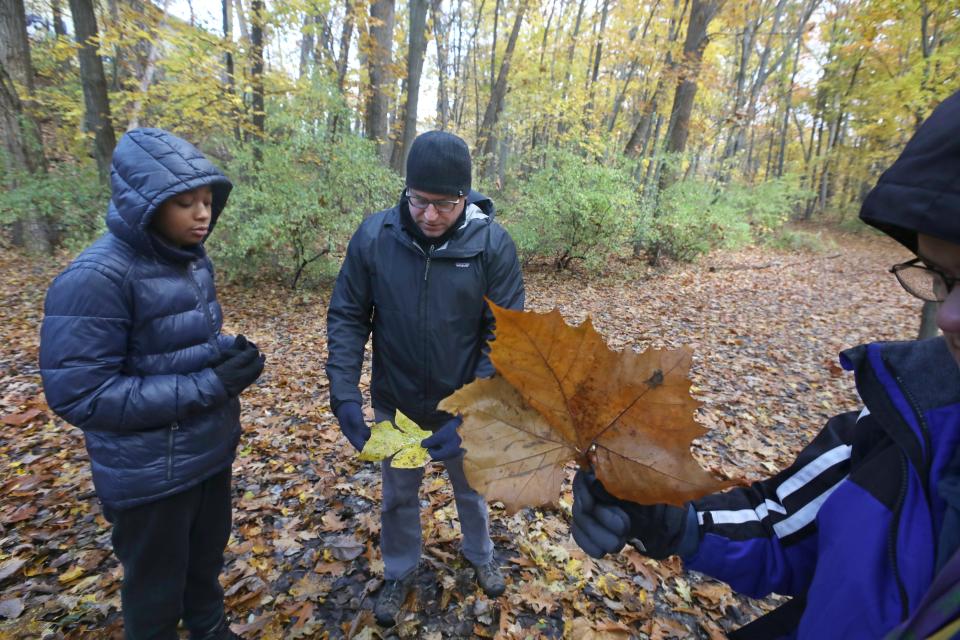 Chris Widmaier, executive director of Rochester Ecology Partners, center, identifies different tree types from their leaves with DeShawn Griffin, left, including the tulip tree leaf that he holds, during a walk around Washington Grove in Rochester with students participating in the Seneca Park Zoo Society's Urban Ecologist program Saturday, Nov. 13, 2021. 