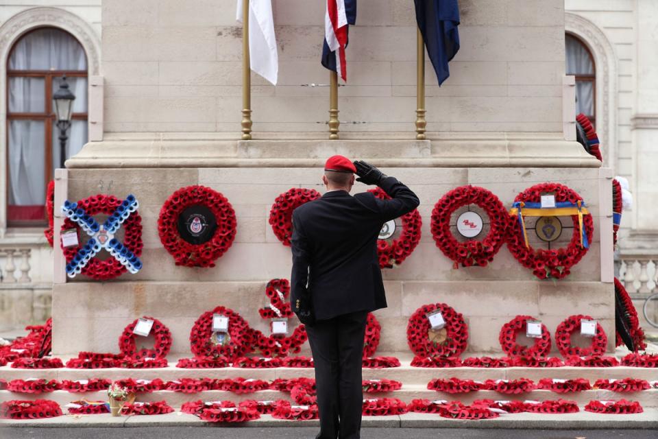A member of the armed services gives a salute at the Cenotaph on Whitehall on Armistice Day 2020 (PA Archive)