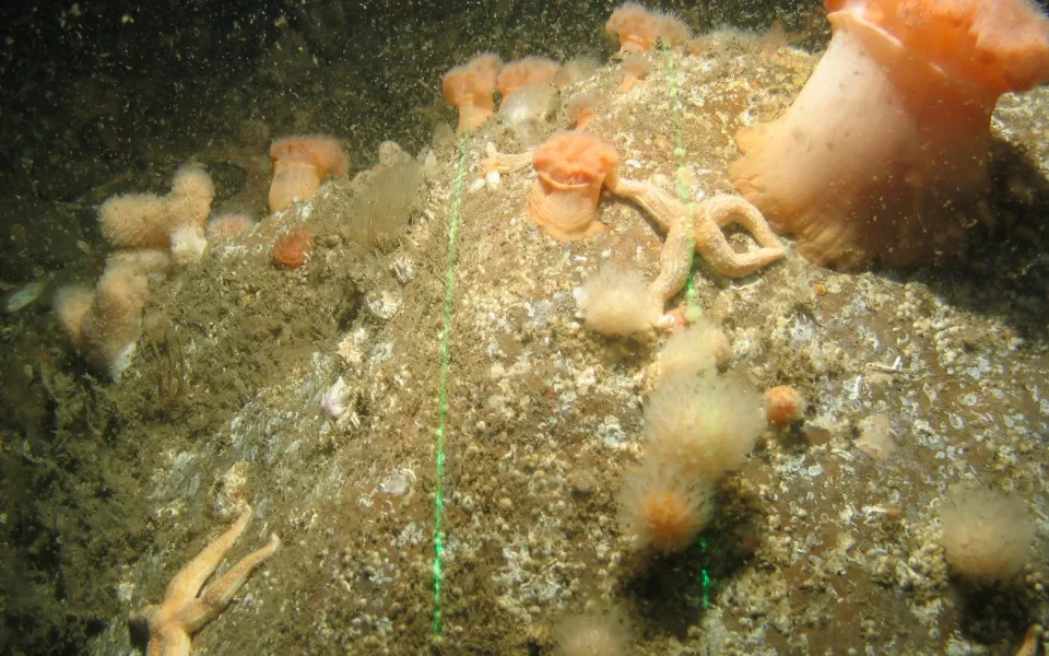 seabed where Shipwrecks are found