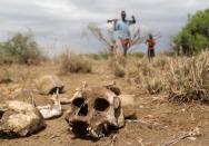 The Wider Image: When raiders menace in northern Kenya, grab your guns