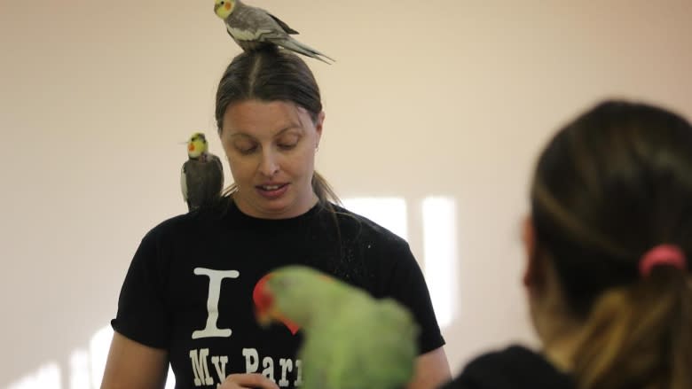 Who's a clever bird? Calgary school trains feathered friends