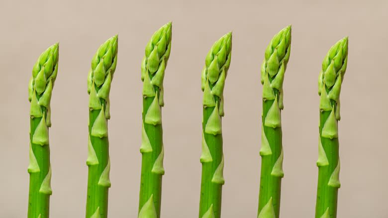 row of asparagus tips