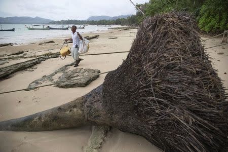 Hong Klathalay carries gear to his fishing boat as he walks past a tree brought down by the 2004 tsunami in Khao Lak, Phang Nga province December 14, 2014. REUTERS/Damir Sagolj