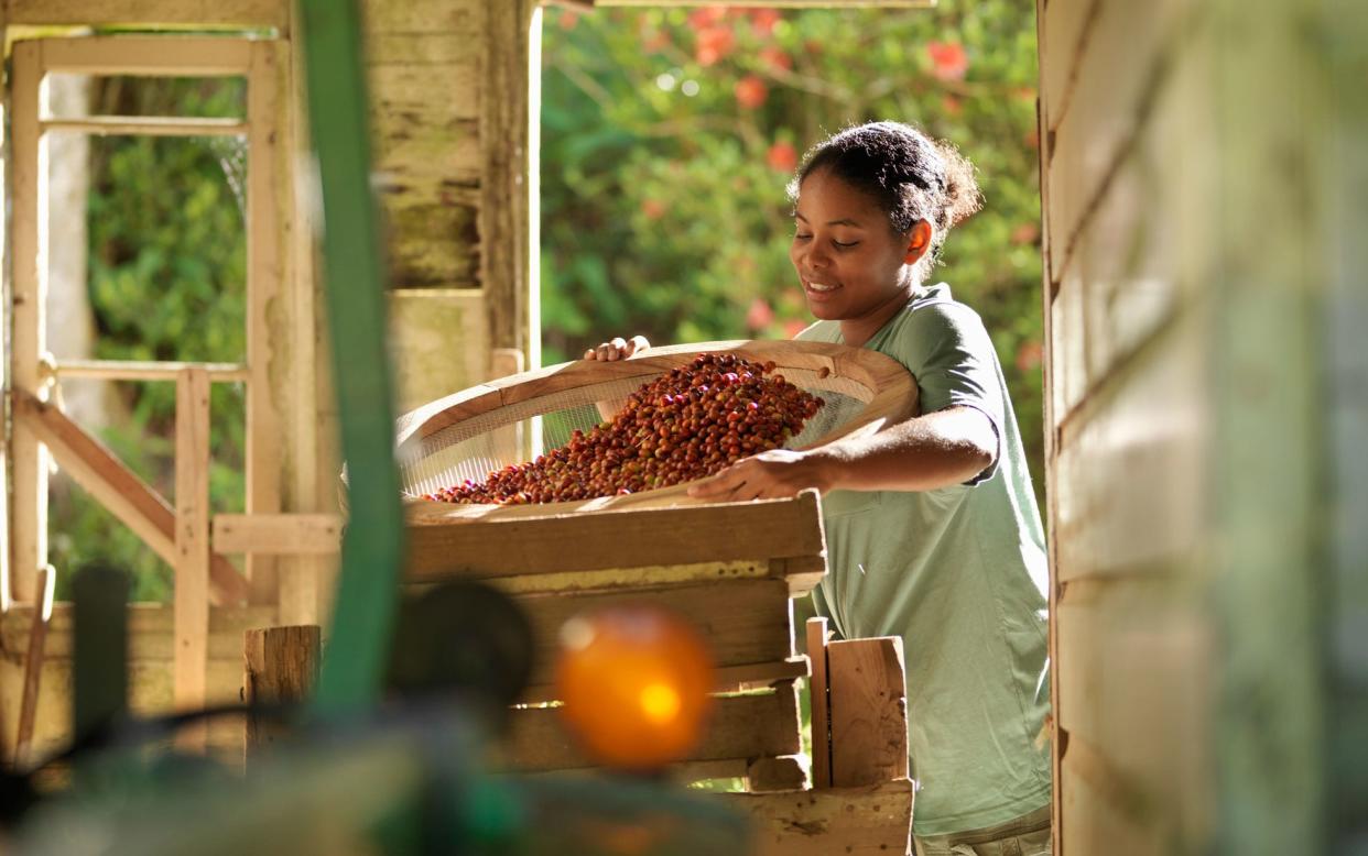 This Caribbean island is packed with flavour - Getty