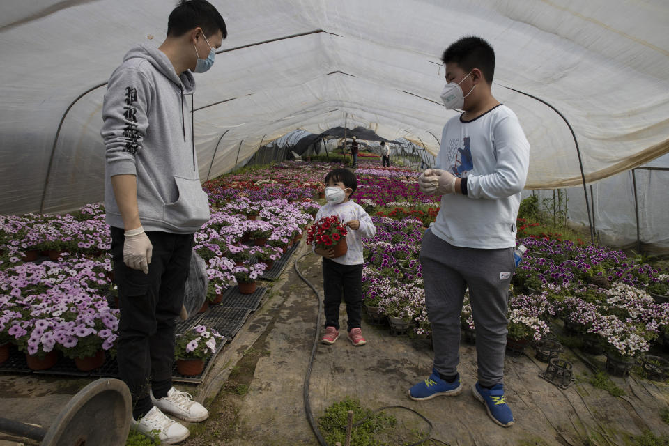 In this April 6, 2020, photo, visitors wear masks against the new coronavirus as they visit a flower farm in Wuhan in central China's Hubei province. Chinese authorities are easing travel controls after declaring victory over the coronavirus, but flowers and some other crops that are deemed nonessential are withering while farmers wait for permission to move them to markets. Despite a campaign by the communist leadership to revive the economy, the bleak situation in Huangpi, highlights the damage to farmers struggling to keep afloat after the country shut down for two months. (AP Photo/Ng Han Guan)