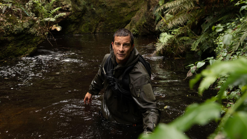 Bear Grylls recalls near-death fight with eight-foot snake