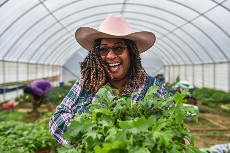 Cindy Ayers Elliott, the owner and chief farmer at Foot Print Farms, holds fresh lettuces from inside one of her tunnel gardens. Ayers Elliott went from working on Wall Street back to Mississippi to find her roots. Foot Print Farms in Jackson is the largest urban farm in the state of Mississippi.