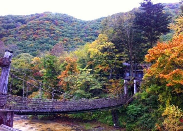 Kazurabashi, the suspended bridge within inn grounds