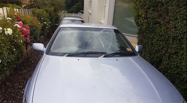 The mammal left its mark on the Camry. Source: Tasmania Police