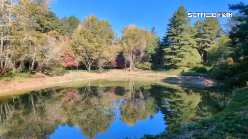 楓樹倒影在湖面上，風景宜人。