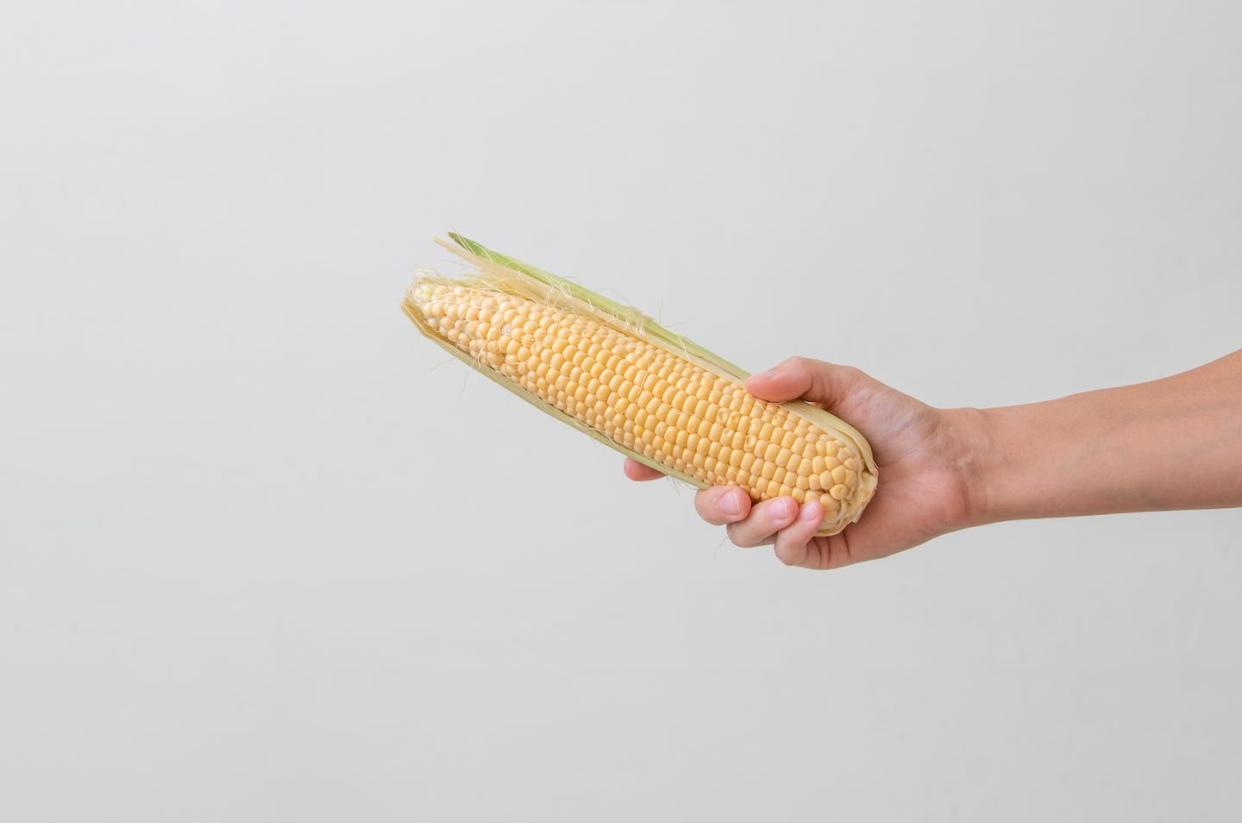 <a href="https://www.shutterstock.com/es/image-photo/corn-cob-farmer-hands-while-working-2197932281" rel="nofollow noopener" target="_blank" data-ylk="slk:Shutterstock / Avelina;elm:context_link;itc:0;sec:content-canvas" class="link ">Shutterstock / Avelina</a>