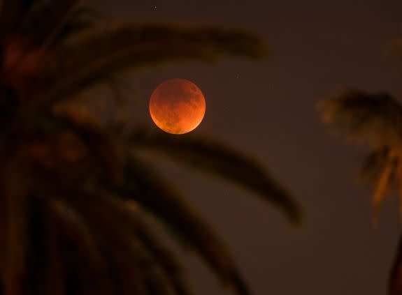 An eclipsed supermoon is shown on Sept. 27, 2015 in Los Angeles, California.