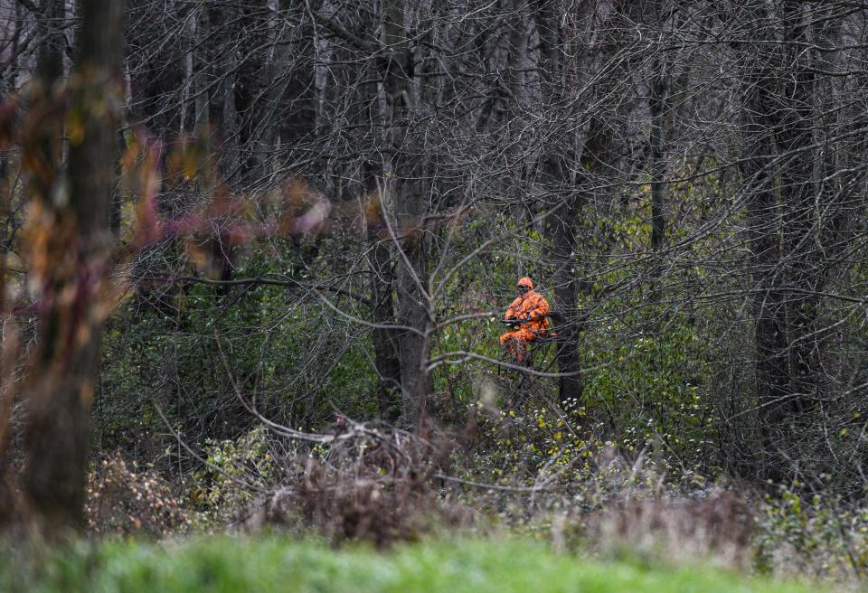 A hunter dressed in blaze orange is seen hunting in a tree stand Monday, Nov. 15, 2021, in the woods on public hunting land near Rose Lake in Bath Township on the first day of Michigan's firearm deer hunting season.