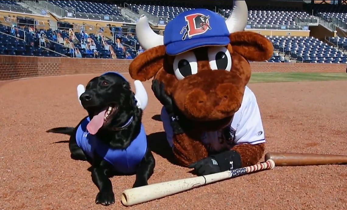 Ripken is the bat dog for the Durham Bulls baseball team in Durham, N.C. He’s pictured with mascot Wool E. Bull.