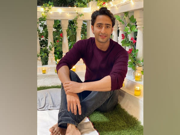 Shaheer Sheikh (Image source: Instagram)