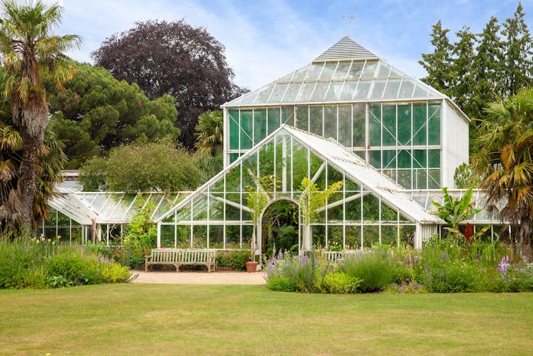 A large greenhouse surrounded by trees.