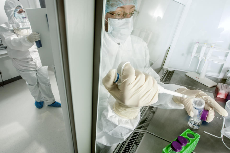 This photo provided by the University of Copenhagen in January 2024 shows the process of ancient DNA extraction at the Lundbeck Foundation GeoGenetics Center in Copenhagen. According to research published Wednesday, Jan. 10, 2024, in the journal Nature, ancient DNA helps explain why northern Europeans have a higher risk of multiple sclerosis than other ancestries: It’s a genetic legacy of horseback-riding cattle herders who swept into the region about 5,000 years ago. (Mikal Schlosser/University of Copenhagen via AP)