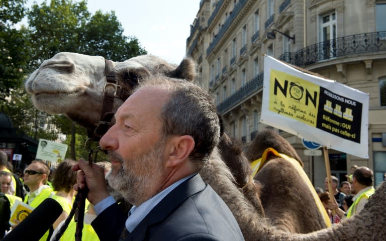 Le maire de Janvry, dans l'Essonne, Christian Schoettl avec un de ses animaux en 2014 lors d'une manifestation dans Paris (ALAIN JOCARD)