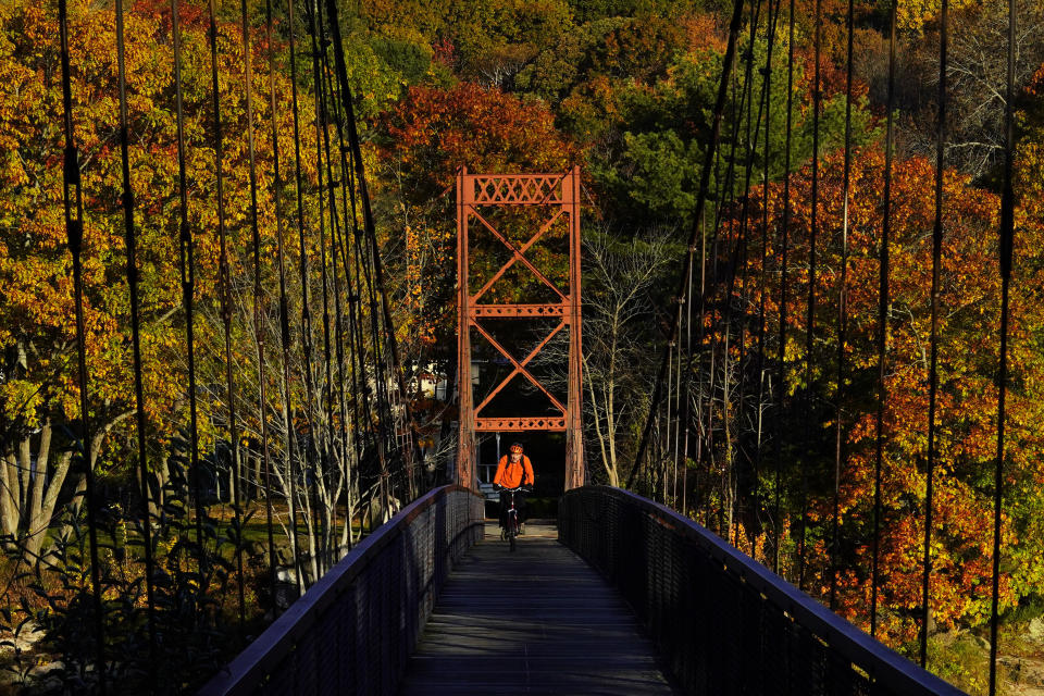 FILE - Fall foliage provides a colorful backdrop as a bicyclist rides across the Swinging Bridge spanning the Androscoggin River, Oct. 29, 2021, in Brunswick, Maine. The 2022 summer drought is expected to cause a patchy array of fall color in the leaf-peeping haven of New England. Experts predict that it will be more spread out this year with some trees changing earlier or even browning and dropping leaves because of the drought. (AP Photo/Robert F. Bukaty, File)