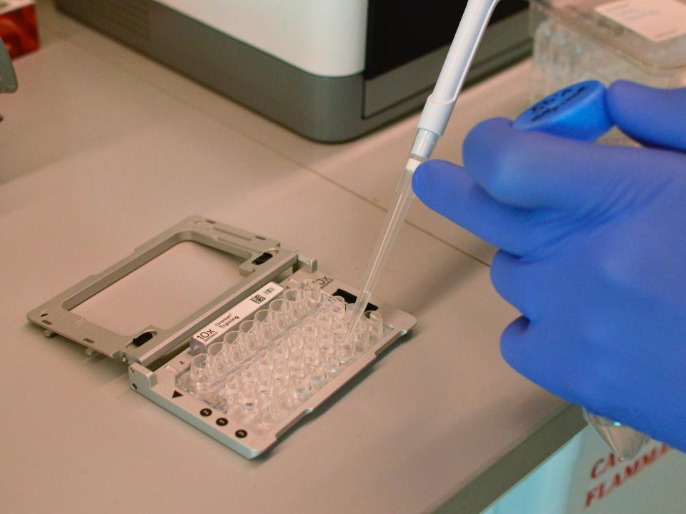 rna analysis