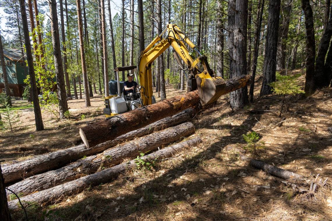 Ian Blue stacks trees cut down last month near the Nevada County home of his father Hans Shillinger.