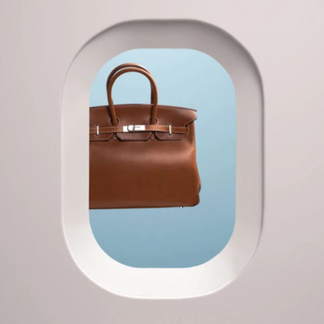 hermes birkin himalayan