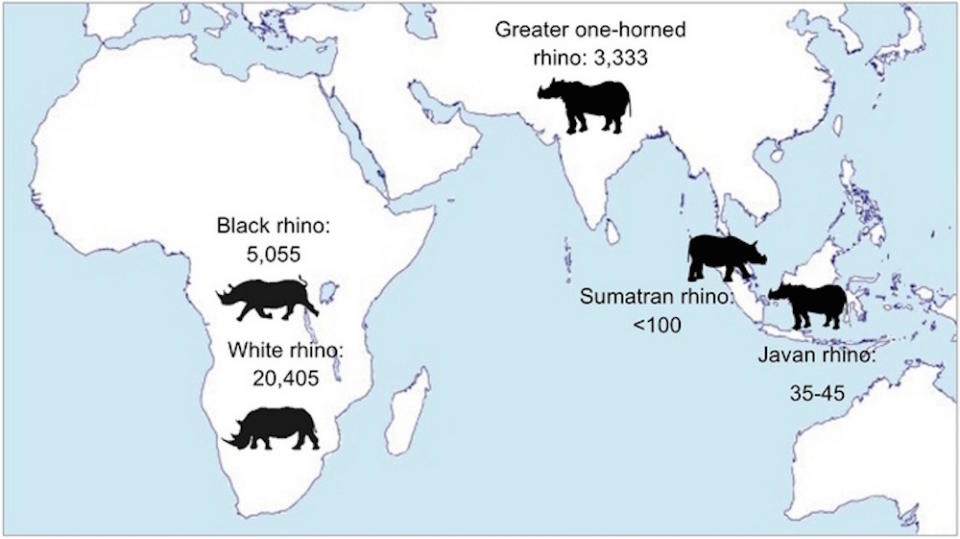 Rhino_pop_map_large