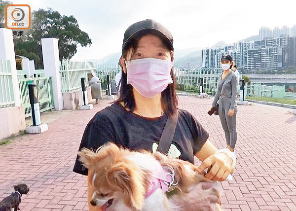 帶寵物到公園的黃太指，夏天蠓患嚴重。