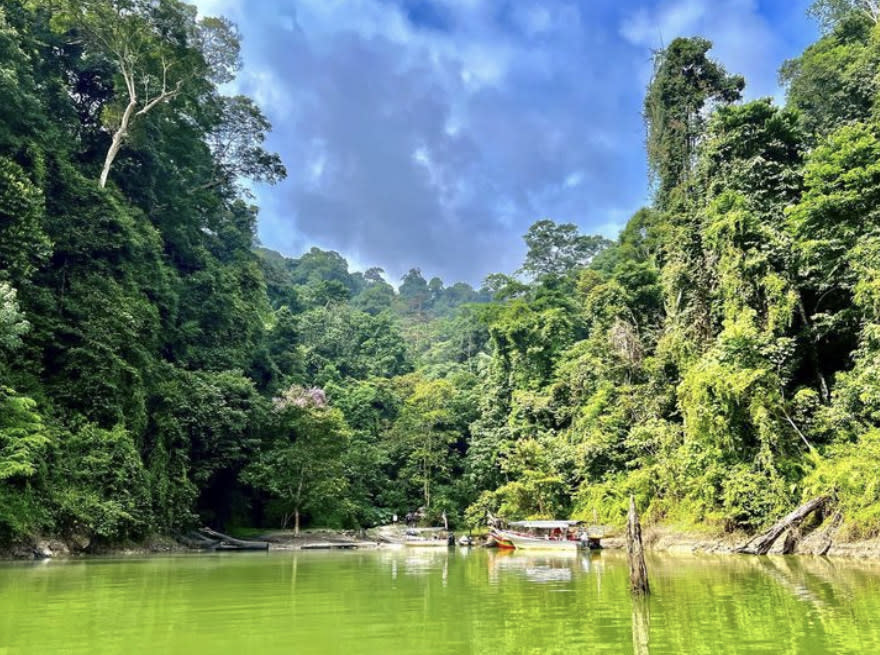 Preserving Malaysian biodiversity critical in maintaining ecological balance