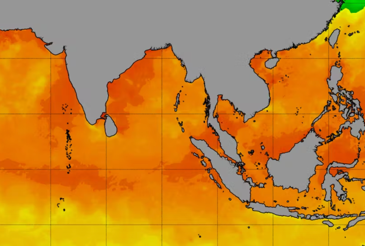 Les effets de la chaleur de l'océan indien sur les terres littorales. <a href="https://coralreefwatch.noaa.gov/product/5km/index_5km_sst.php" rel="nofollow noopener" target="_blank" data-ylk="slk:NOAA Coral Reef Watch;elm:context_link;itc:0;sec:content-canvas" class="link ">NOAA Coral Reef Watch</a>