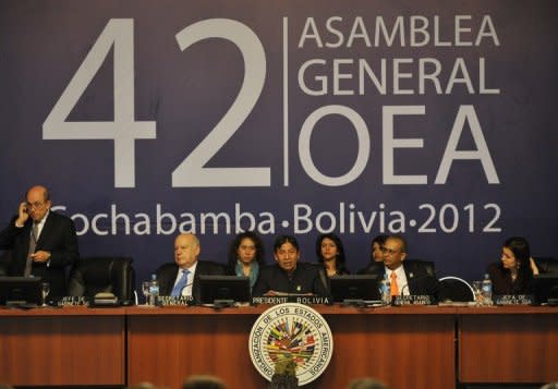 La Organización de Estados Americanos (OEA) aprobó este jueves un presupuesto recucido para 2013, al reconocer que está inmersa en una crisis financiera y comprometerse a redefinir sus prioridades a futuro para mantenerse vigente. (AFP | aizar raldes)