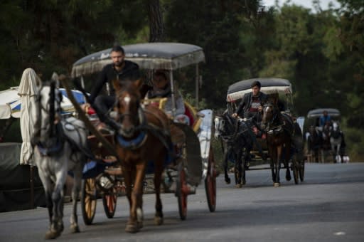 A popular excursion in Istanbul is a boat trip to one of the car-free Princes' Islands followed by a ride in a horse-drawn carriage