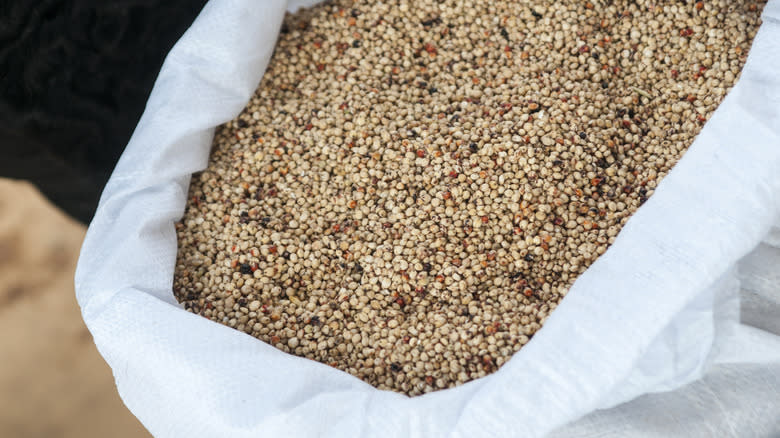 bulk bag of sorghum