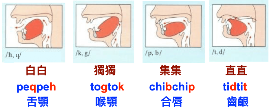 口腔發聲斷促四種高/低 h/q、k/g、 p/b、t/d 符號示意圖 / 王泰澤提供