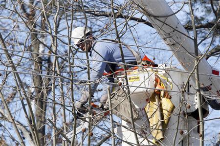 A Philadelphia Electric Company linesman clears away tree limbs as he and other linesmen prepare to repair utility lines that caused a power outage in Upper Dublin Township, Pennsylvania, February 7, 2014. REUTERS/Tom Mihalek