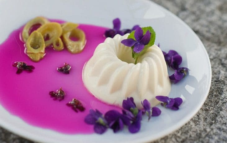 Panna cotta with violet syrup and Japanese knotweed - StockFood / Siffert, Hans-Peter