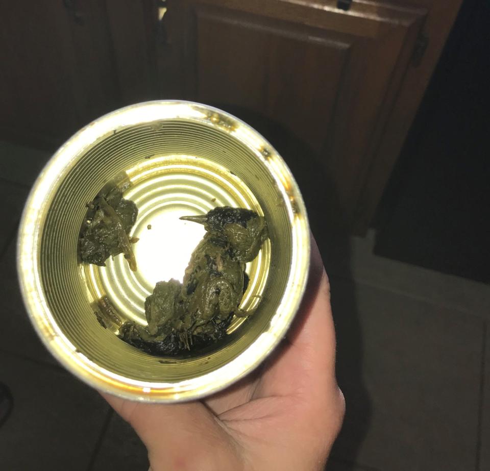 Cherie Lyons discovered a dead bird at the bottom of her Del Monte canned spinach on June 14.