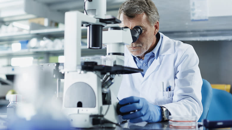 scientist looking through microscope