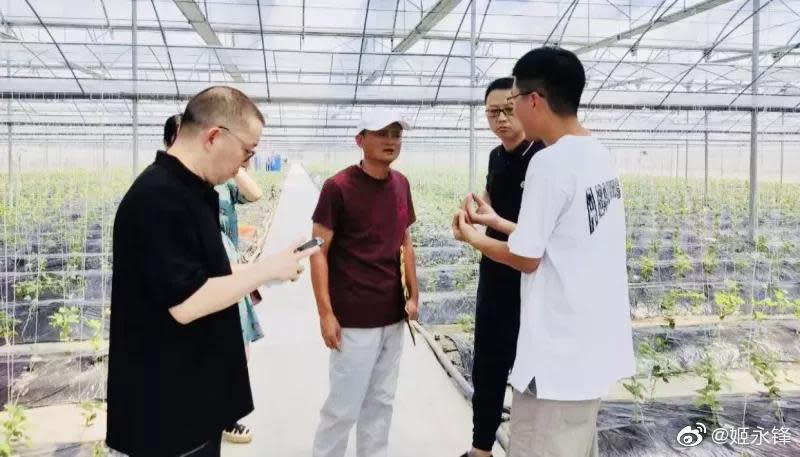 網友爆料阿里巴巴集團創辦人馬雲在消失4個月後，9月初在浙江嘉興參觀農業。（微博圖片）