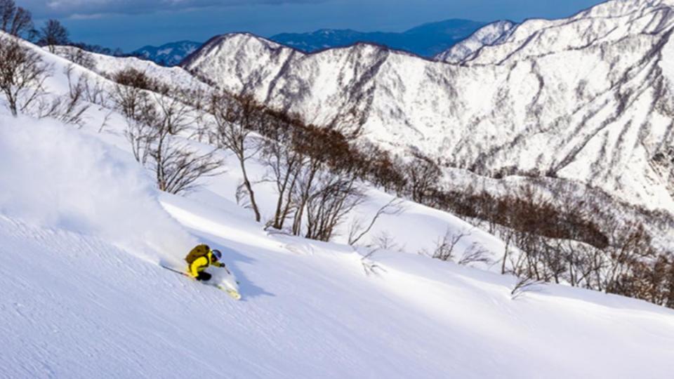 新潟滑雪場驚傳死亡意外。（圖／翻攝自surfsnow.jp）