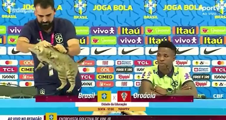 El gato en la conferencia de prensa de Brasil