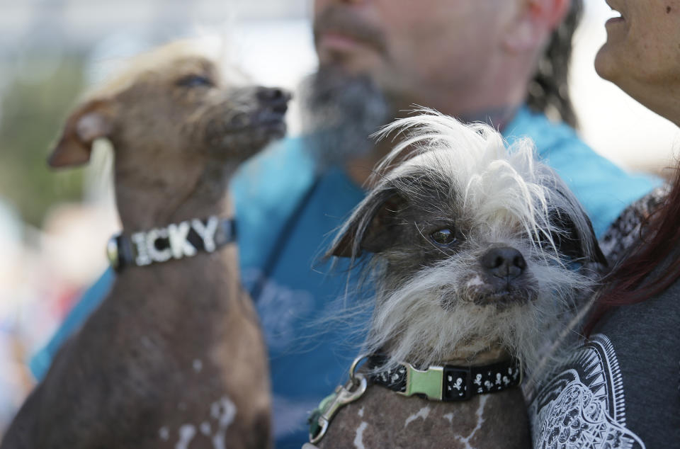 Photo credit: Eric Risberg / AP