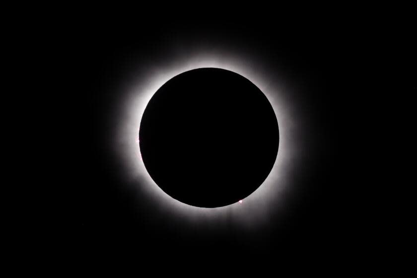 Bee Cave, Texas - April 08: The total solar eclipse on Monday, April 8, 2024 in Bee Cave, Texas .(Andrew Gombert / Los Angeles Times)