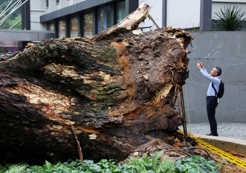 A tree fell across Jalan Sultan Ismail, one of the Kuala Lumpur's busiest roads