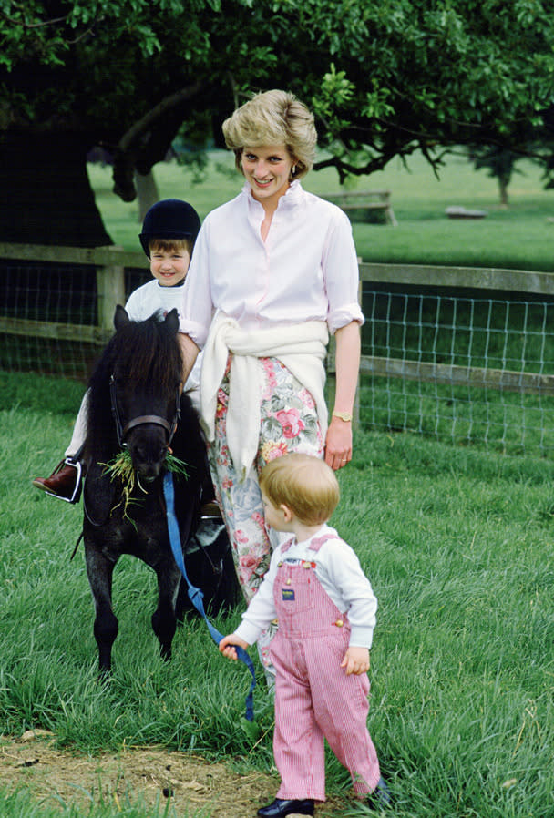 Princess Diana's Family Life In Pictures