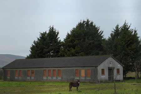 FILE PHOTO: A donkey stands in front of a disused customs hut on the border between Northern Ireland and Ireland in Carrickcarnon, Ireland December 10, 2018. REUTERS/Clodagh Kilcoyne/File Photo