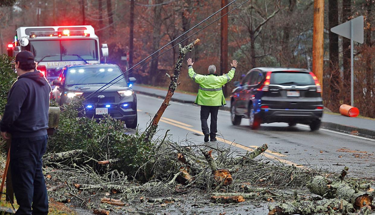 High winds and driving rain brought down trees on the South Shore on Monday morning, including this one on Main Street/Route 3A in Marshfield. Closed roads forced drivers to take detours.
